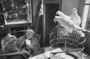 Matisse and Doves, Vence, 1944 Henri Cartier-Bresson